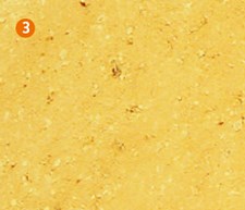Oberflaechen Beschichtungen 3 Sachs Naturale Wand